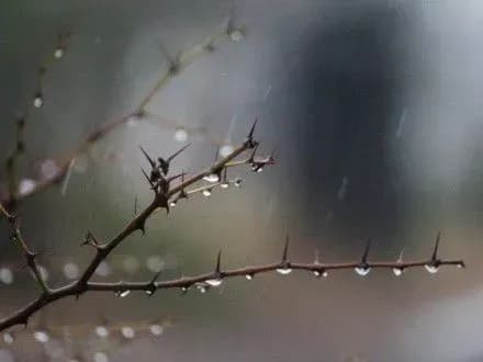 zavtra-v-ukrayini-ochikuyetsya-mokriy-snig-i-dosch