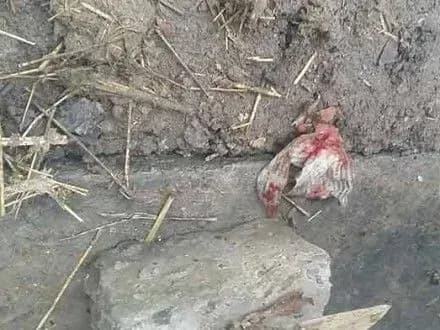 zhitelka-vinnichchini-pokinula-novonarodzhenu-ditinu-v-tualeti