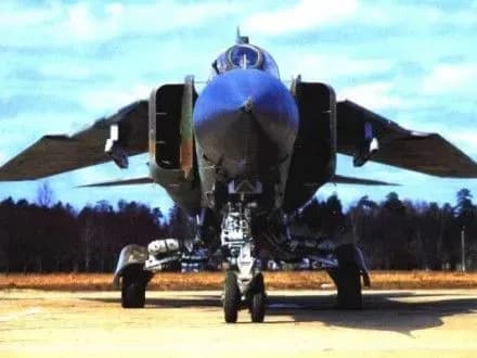 siriyskiy-vinischuvach-vpav-na-kordoni-z-turechchinoyu