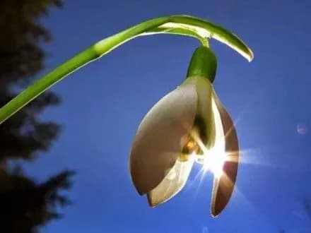 sogodni-v-ukrayini-perevazhatime-malokhmarna-sonyachna-pogoda