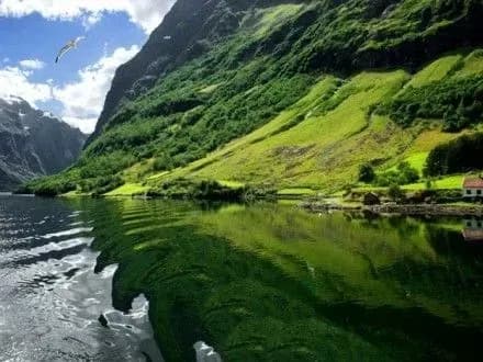 u-skandinavskomu-mistechku-vidbuvsya-festival-dni-norvegiyi