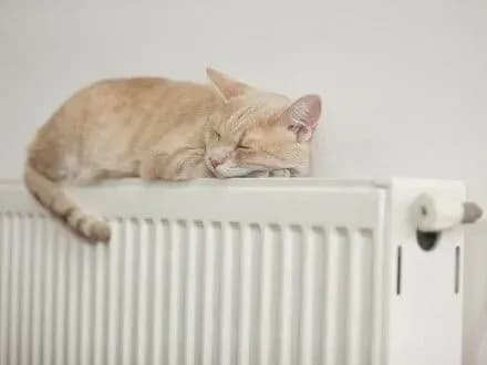 temperaturniy-grafik-poki-ne-dozvolyaye-zavershiti-opalyuvalniy-sezon-kmda