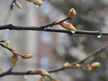 na-vikhidnikh-v-ukrayini-doschitime-ukrgidromettsentr