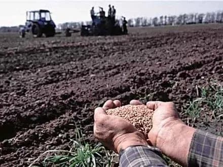 posivna-kampaniya-startuvala-v-semi-oblastyakh-minagropolitiki