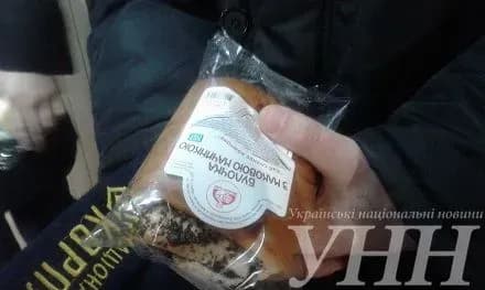 aktsiyu-protestu-z-poyidannyam-bulochok-iz-makom-vlashtuvali-aktivisti-u-vinnitskomu-sudi