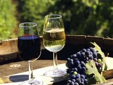 ukrayina-maye-usi-peredumovi-dlya-rozvitku-vinnogo-turizmu-ekspert