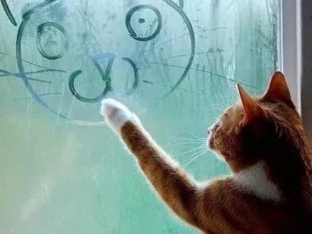 sogodni-v-kiyevi-prognozuyut-khmarnu-vologu-pogodu