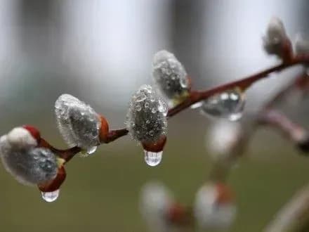 sogodni-v-ukrayini-bude-doschiti