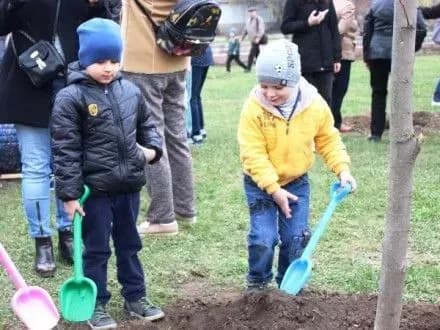 lipovu-aleyu-visadili-na-naberezhniy-ingulu-u-kropivnitskomu