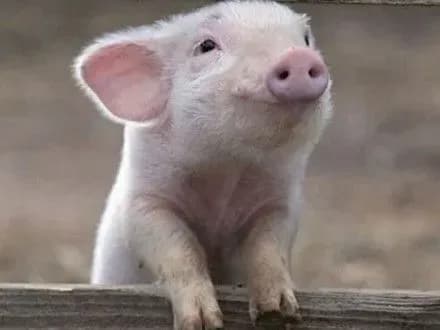 na-kompensatsiyi-zbitkiv-vid-achs-poltavschina-z-pochatku-roku-vitratila-ponad-540-tis-grn