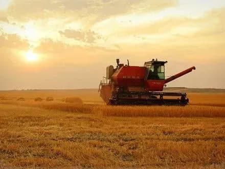 minagropolitiki-pererakhuvalo-306-mln-grn-na-viplatu-dotatsiy