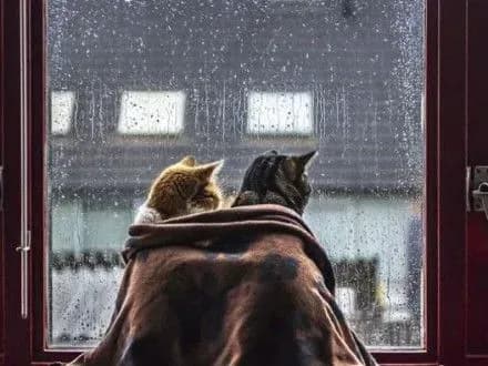 v-stolitsi-sogodni-bude-doschiti