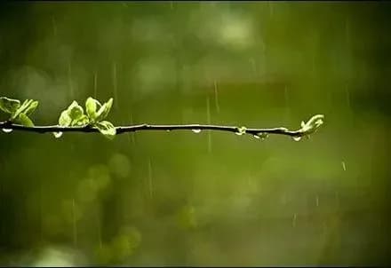 na-velikden-v-ukrayini-ochikuyetsya-prokholodna-pogoda