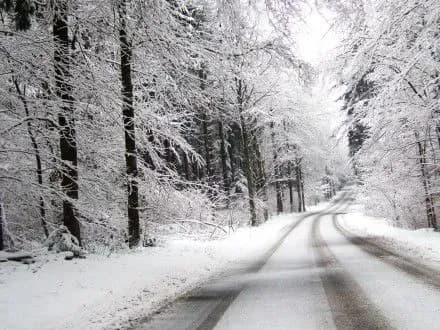 rukh-shkilnikh-avtobusiv-prizupinili-na-kirovogradschini