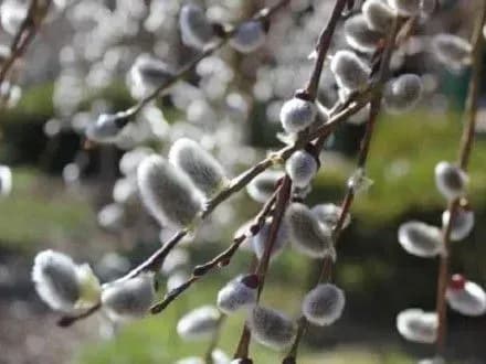 sogodni-v-stolitsi-kholodno-bez-opadiv