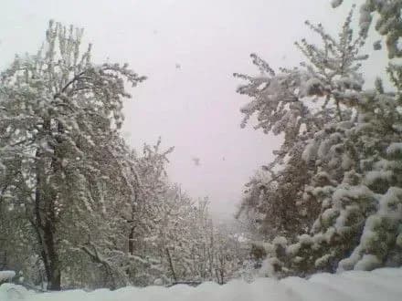 ryatuvalniki-rozpovili-pro-naslidki-negodi-na-odeschii