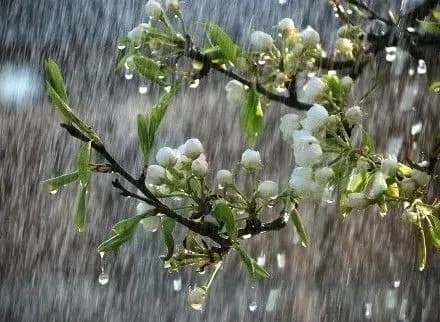 sogodni-v-kiyevi-ochikuyetsya-nevelikiy-dosch-1