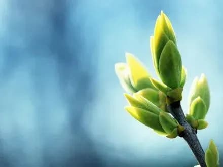 zavtra-v-stolitsi-bude-sonyachno-i-bez-opadiv