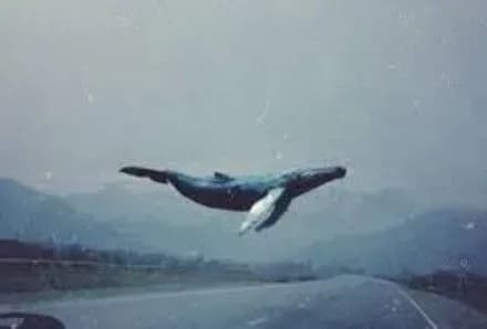 kiberpolitsiya-v-sotsmerezhakh-viyavila-bilshe-900-grup-smerti-s-knyazyev