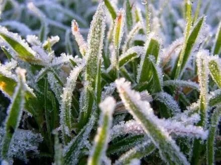 na-skhodi-ukrayini-ochikuyutsya-nichni-zamorozki