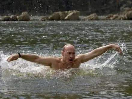 v-putin-porivnyav-sebe-z-morskim-angelom