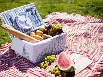 kiyanam-rozpovili-de-mozhna-vidpochiti-na-pikniku