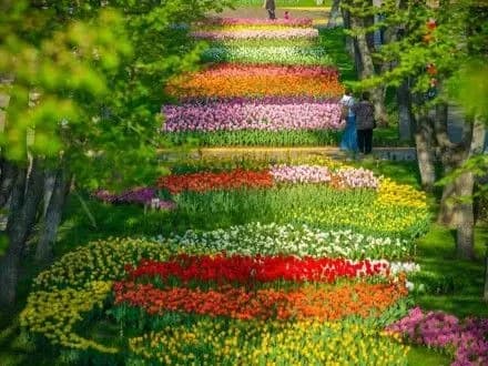 v-ukrayini-sogodni-ochikuyetsya-tepla-pogoda