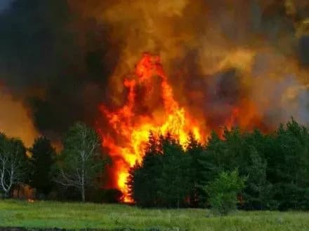 vlada-yaponiyi-drugiy-den-boretsya-z-pozhezheyu-v-fukusimi