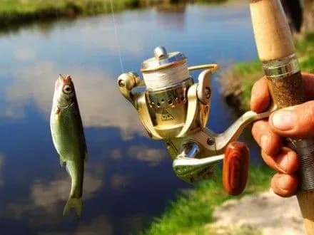 na-lvivschini-nevidomi-obstrilyali-trokh-ribalok