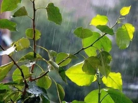 zavtra-u-vosmi-oblastyakh-ukrayini-ochikuyutsya-grozi-grad-i-shkvali