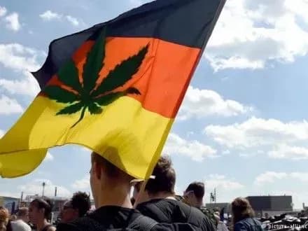 u-nimechchini-vidbulis-demonstratsiyi-za-legalizatsiyu-marikhuani
