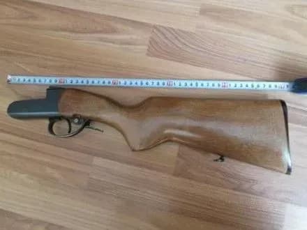 mislivets-brakonyer-na-zakarpatti-poraniv-khlopchika-yakiy-zbirav-gribi