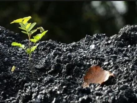 cherez-blokadu-ukrayina-vtratila-1-ekonomichnogo-zrostannya-v-groysman