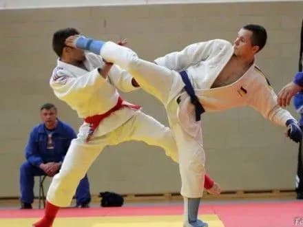 zbirna-ukrayini-viborola-dvi-medali-na-chye-z-dzhiu-dzhitsu