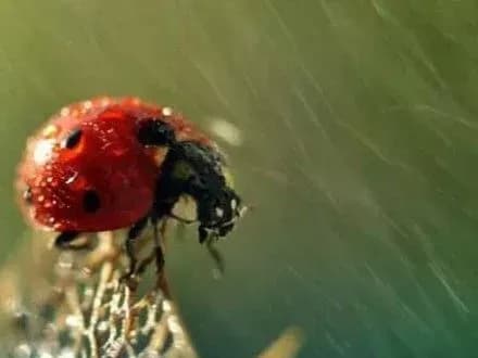 sogodni-v-ukrayini-ochikuyetsya-nestiyka-pogoda