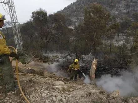 lis-zagorivsya-poruch-iz-plyazhem-na-ostrovi-ibitsa-evakuyuvali-blizko-60-osib