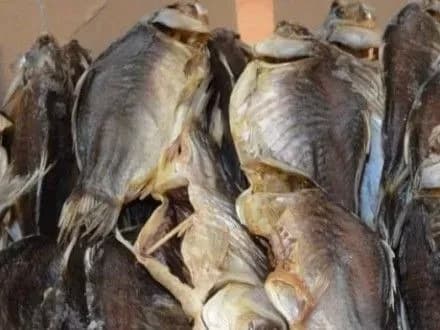 za-moratoriy-na-perevirki-biznesu-ukrayintsi-platyat-tsinoyu-vlasnogo-zhittya-nardep-pro-botulizm