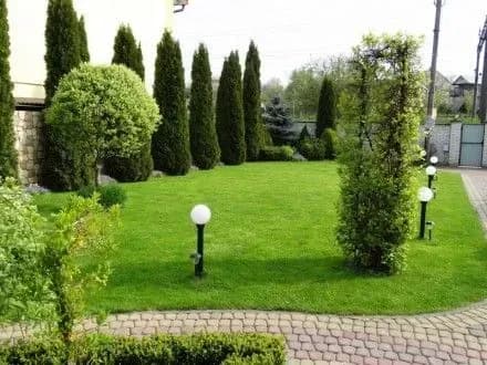 kiyivrada-sprostila-protseduru-ozelenennya-pribudinkovoyi-teritoriyi