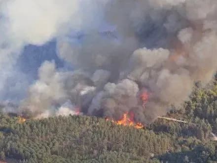 ryatuvalniki-vdvichi-zmenshili-ploschu-pozhezhi-v-zoni-vidchuzhennya