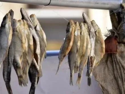 moratoriy-na-perevirki-prizviv-do-poshirennya-infektsiynikh-khvorob-nardep