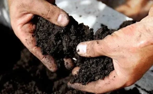 rinku-zemli-ne-bude-do-stvorennya-efektivnogo-reyestru-poroshenko