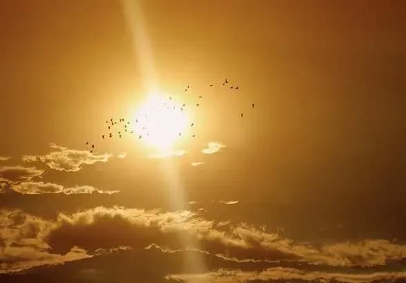 zavtra-u-skhidniy-chastini-ukrayini-bez-opadiv