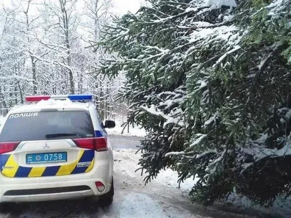 golovnu-novorichnu-yalinku-ochikuyut-sogodni-o-12-00-na-sofiyskiy-ploschi