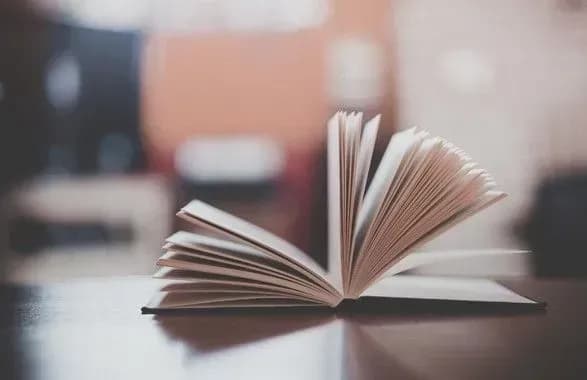 u-mon-prokomentuvali-visnovok-venetsiyskoyi-komisiyi