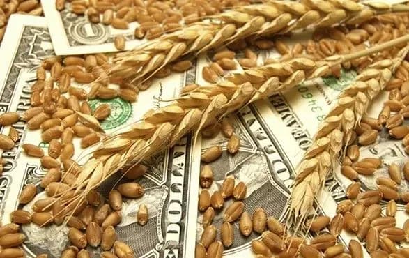 ekspert-cituatsiya-iz-zernovoyu-korporatsiyeyu-porodzhuye-nedoviru-do-ukrayini