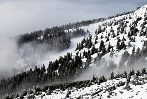 ryatuvalniki-poperedili-pro-lavinnu-nebezpeku-na-ivano-frankivschini