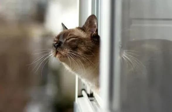 gruden-2017-roku-u-kiyevi-stav-odnim-z-nayteplishikh-za-136-rokiv