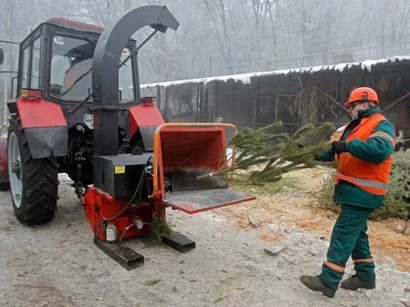 u-kiyevi-vidkriyut-10-punktiv-zboru-novorichnikh-yalinok