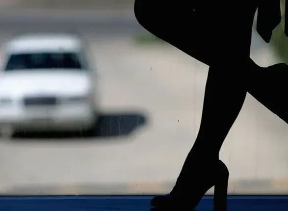 u-2017-politsiya-viyavila-371-kriminalne-pravoporushennya-povyazane-z-sutenerstvom-krischenko