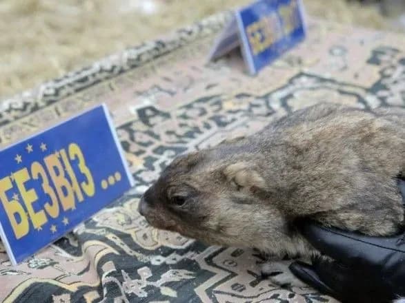 den-babaka-stalo-vidomo-scho-okrim-pogodi-vischuvatime-timko-ii